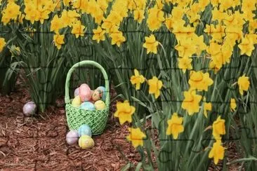 Â¡  Felices Pascuas ! jigsaw puzzle