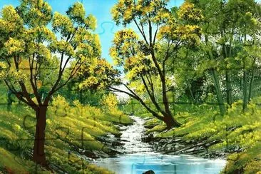 todo paisaje