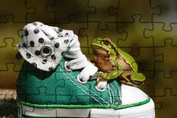 פאזל של Green-Frog-Sneakers
