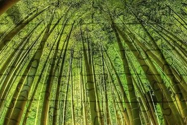 imagens jigsaw puzzle