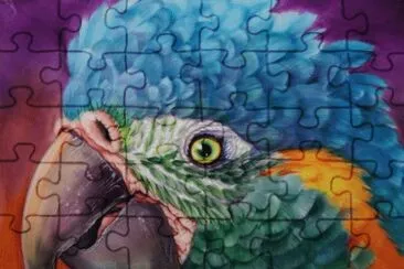 Beautiful Parrot jigsaw puzzle