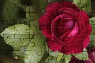 122 jigsaw puzzle