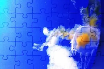 medusa huevo frito jigsaw puzzle