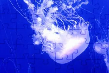 medusa jigsaw puzzle