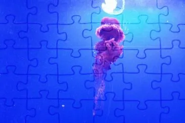 medusa jigsaw puzzle