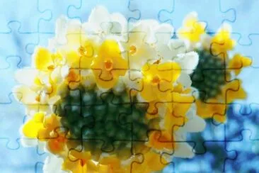 Flower in Botanical gardens1 jigsaw puzzle
