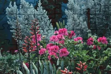 Jardi jigsaw puzzle