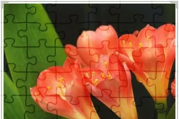 å›å­è˜­ jigsaw puzzle