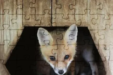 zorro pequeÃ±o jigsaw puzzle