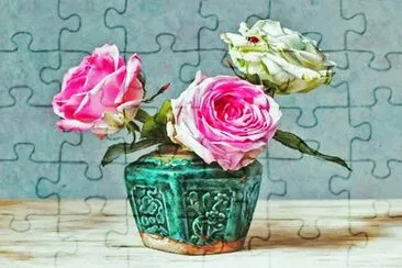 rosas