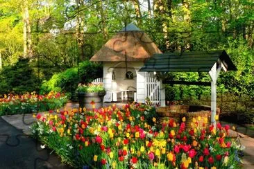 Netherlands_Parks_Tulips_ jigsaw puzzle