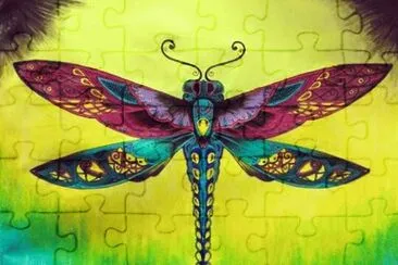 Colorful Butterfly