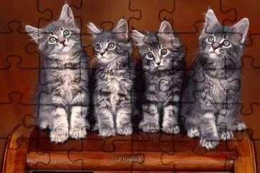 Sweet-Kittens