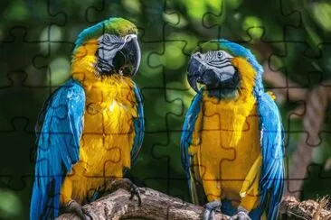 פאזל של Loros