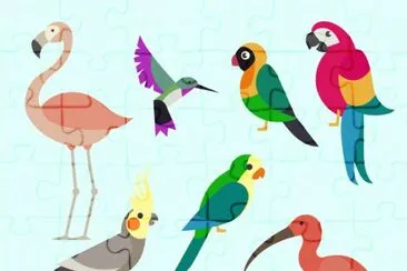 aves jigsaw puzzle