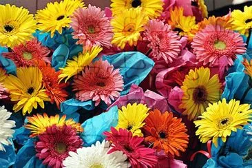 Bouquet-of-Gerberas jigsaw puzzle