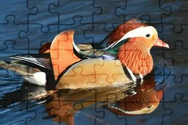 DÃ­a Internacional de las Aves jigsaw puzzle