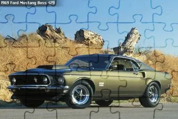 Mustang Boss 429