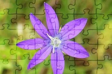 Venus looking glass jigsaw puzzle
