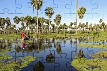 BaÃ±ado La Estrella. Formosa. Argentina jigsaw puzzle