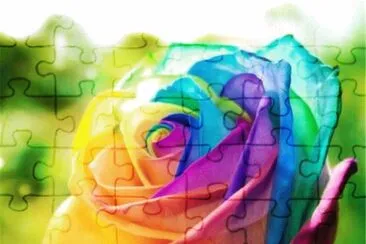 Rainbow Rose jigsaw puzzle