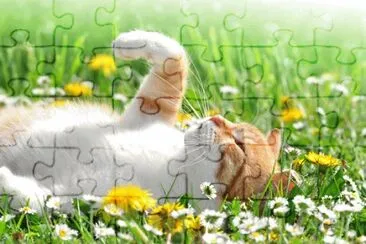 Cat Flowers
