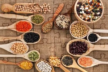 Seeds jigsaw puzzle