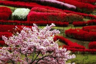 imagens jigsaw puzzle