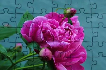imagens jigsaw puzzle