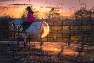 sunset light horse   rider