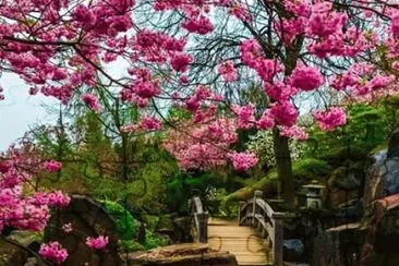imagens jigsaw puzzle