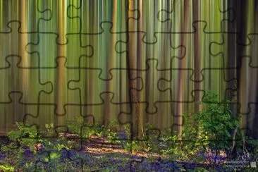 Green Forest blur