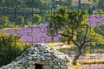 todo paisaje