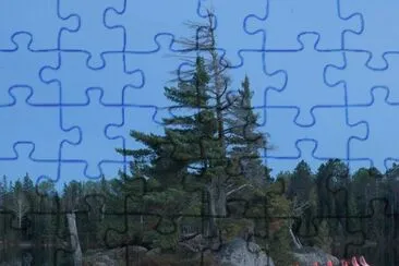imagens jigsaw puzzle