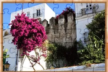VEJER DE LA FRONTERA (CÃDIZ) â€“ PERDERSE...