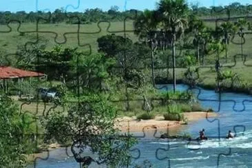 imagens