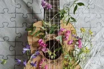 flowers in my guitar