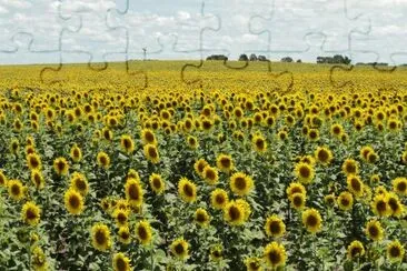 En Trenque Lauquen. Buenos Aires. Argentina jigsaw puzzle