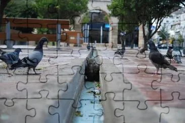 sigilosamente jigsaw puzzle