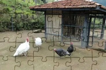 Perus Pretos e Brancos jigsaw puzzle