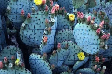 Nopales jigsaw puzzle