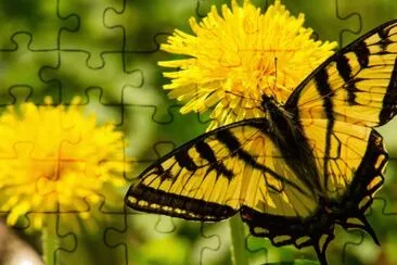 Flores-Mariposa jigsaw puzzle