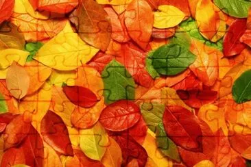 Hojas-OtoÃ±o jigsaw puzzle