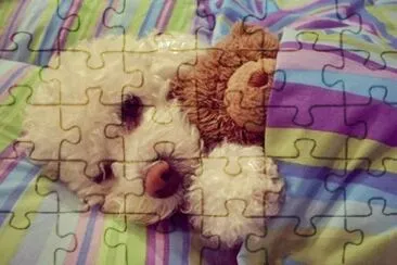 28 jigsaw puzzle
