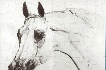 Arabian
