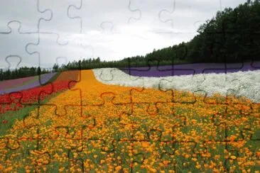 182 jigsaw puzzle