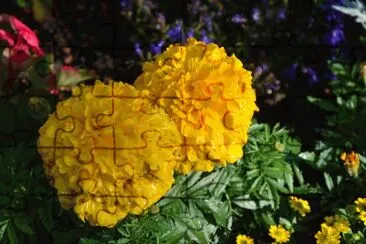 flowers jigsaw puzzle