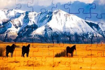 imagens jigsaw puzzle