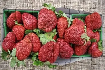 Fresas jigsaw puzzle