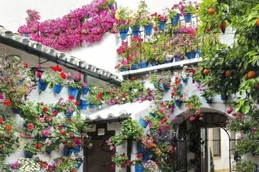 Patio(Varanda) en Cordoba jigsaw puzzle